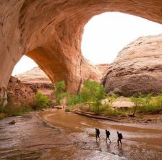 a man standing in the middle of a river under a large rock formation with trees and bushes