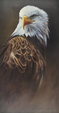 a painting of an eagle with white and brown feathers, looking at the camera while standing in front of a dark background