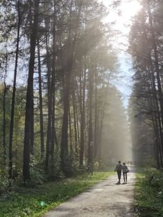 two people walking down a dirt road in the middle of a forest on a sunny day