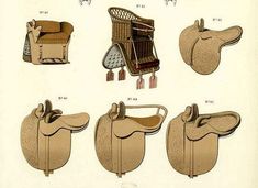 several different types of saddles and their uses