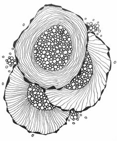 an ink drawing of two flowers with bubbles in the middle and one flower at the bottom