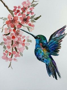 a watercolor painting of a hummingbird feeding from a branch with pink flowers on it