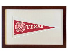 the texas flag is displayed in a shadow box with a white background and brown trim