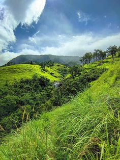 a lush green hillside covered in lots of trees and grass under a cloudy blue sky