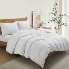 a bed with white comforter and pillows in a room next to a plant on the floor