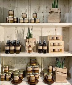 shelves with jars and plants on them