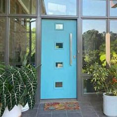 a blue front door sitting next to two potted plants