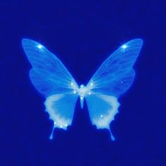 a blue butterfly with white wings flying in the air at night, lit up by bright lights