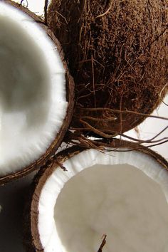 two halves of coconuts sitting next to each other