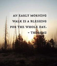 an early morning walk is a blessing for the whole day - thoraiu quote