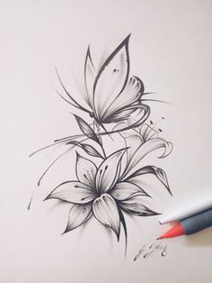 a pencil drawing of a flower and butterfly