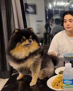 a person sitting at a table with a dog and plate of food in front of them