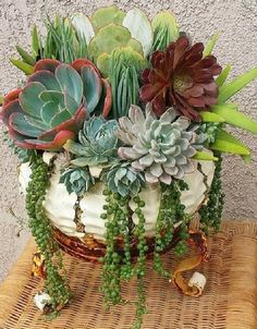 an arrangement of succulents in a white pot on a wicker table