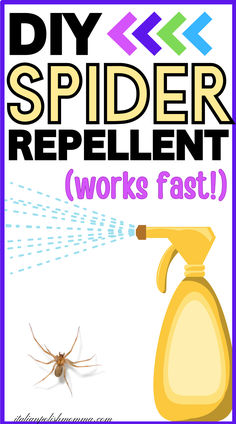 Natural spider repellent recipe with essential oils that gets rid of spiders fast What Repels Spiders, Spider Repellent Diy Essential Oils, Spider Spray Diy, Spider Repellent Diy, Spiders Repellent Diy, Peppermint Oil For Spiders, Natural Spider Repellent, Spider Repellant, Natural Spider Repellant