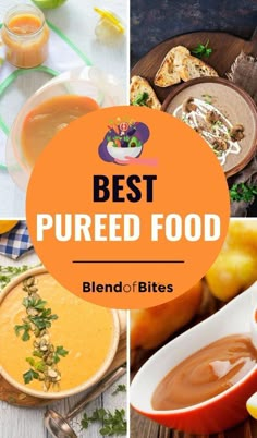 the best pureed food blends for bites