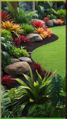 a garden with lots of plants and rocks