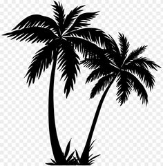 a black and white palm tree on a transparent background png - palm tree clipart