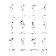 an image of flowers that are labeled in the language of their names and meaningss