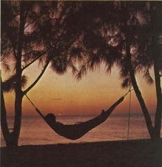 a person laying in a hammock between two trees at sunset on the beach