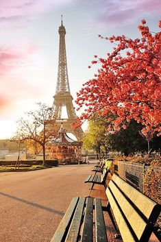 the eiffel tower towering over the city of paris is seen in this photo