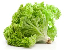 lettuce on white background with clipping for text