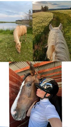 two horses and a woman are standing in front of a fence with their faces close to each other