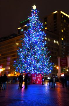 a brightly lit christmas tree in the middle of a city