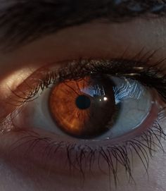 Brown Eye Photography, Beautiful Eye Color Aesthetic, Brown Eyes Astethic, Brown Eyes In The Sun Aesthetic, Brown Eye Close Up Photography, Brown Eyes Aesthetic, Color Wallpaper Iphone, Photos Of Eyes