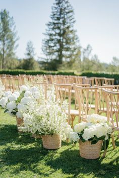 rows of wooden chairs with white flowers in them on the grass at an outdoor ceremony