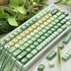 a green and white keyboard sitting on top of a table next to some plant life