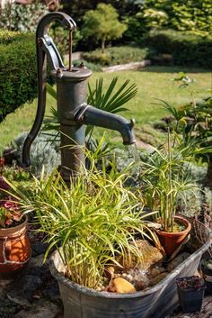 an old fashioned faucet is surrounded by potted plants and other garden items