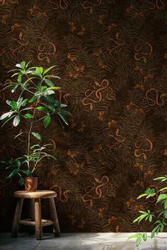 two potted plants sit on stools in front of a wallpapered background