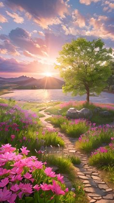 the sun is setting over a beautiful landscape with pink flowers