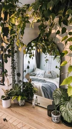 a mirror reflecting a bed with plants on it