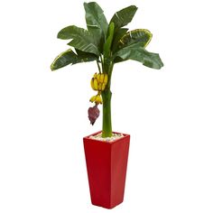 a plant in a red pot with yellow flowers