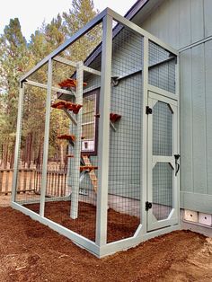 an outdoor chicken coop in the middle of a yard