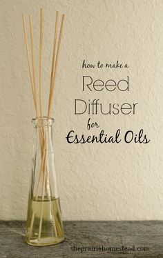 DIY Essential Oil Reed Diffuser • The Prairie Homestead The Prairie Homestead, Prairie Homestead, Healthy Advice, Young Living Oils