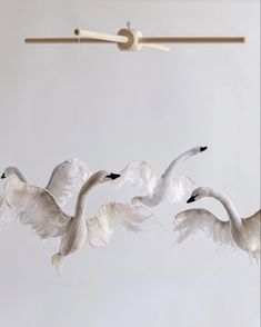 three white swans are flying in the air