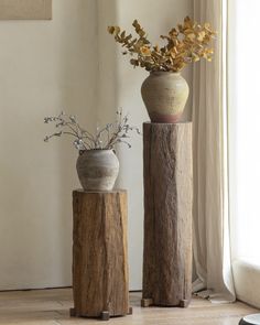 two vases sitting on top of wooden stumps