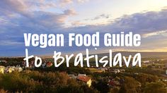 the words vegan food guide to bratslaw in front of a cityscape