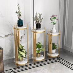 three vases with plants in them are sitting on marble pedestals next to a mirror