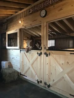 there is a horse in the stable with its stall doors open