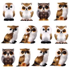 many different types of owls sitting next to each other in front of a white background