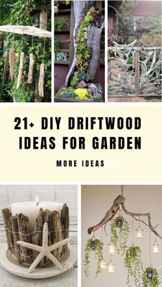 21+ DIY Driftwood Ideas For Garden Driftwood Planters, Wood Hanger, Garden Makeover, Driftwood Crafts