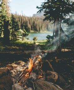 a campfire in the woods near a lake