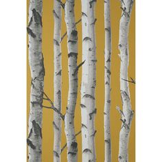 an image of birch trees in front of yellow wallpaper with black and white stripes