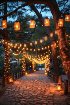 lighted lanterns are hanging from the trees and on the walkway