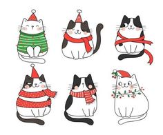 four cats wearing christmas sweaters and hats