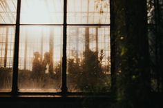 two people standing in front of a window with the sun shining through it and greenery behind them