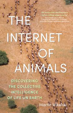 the internet of animals discovering the collective's life on earth